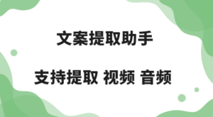 [Windows] 文案提取助手v1.0 支持音频视频提取-十一资源站